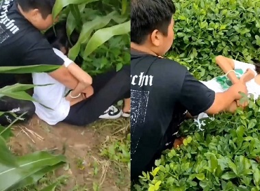 Lũ bạn học hiếp dâm en nữ sinh
